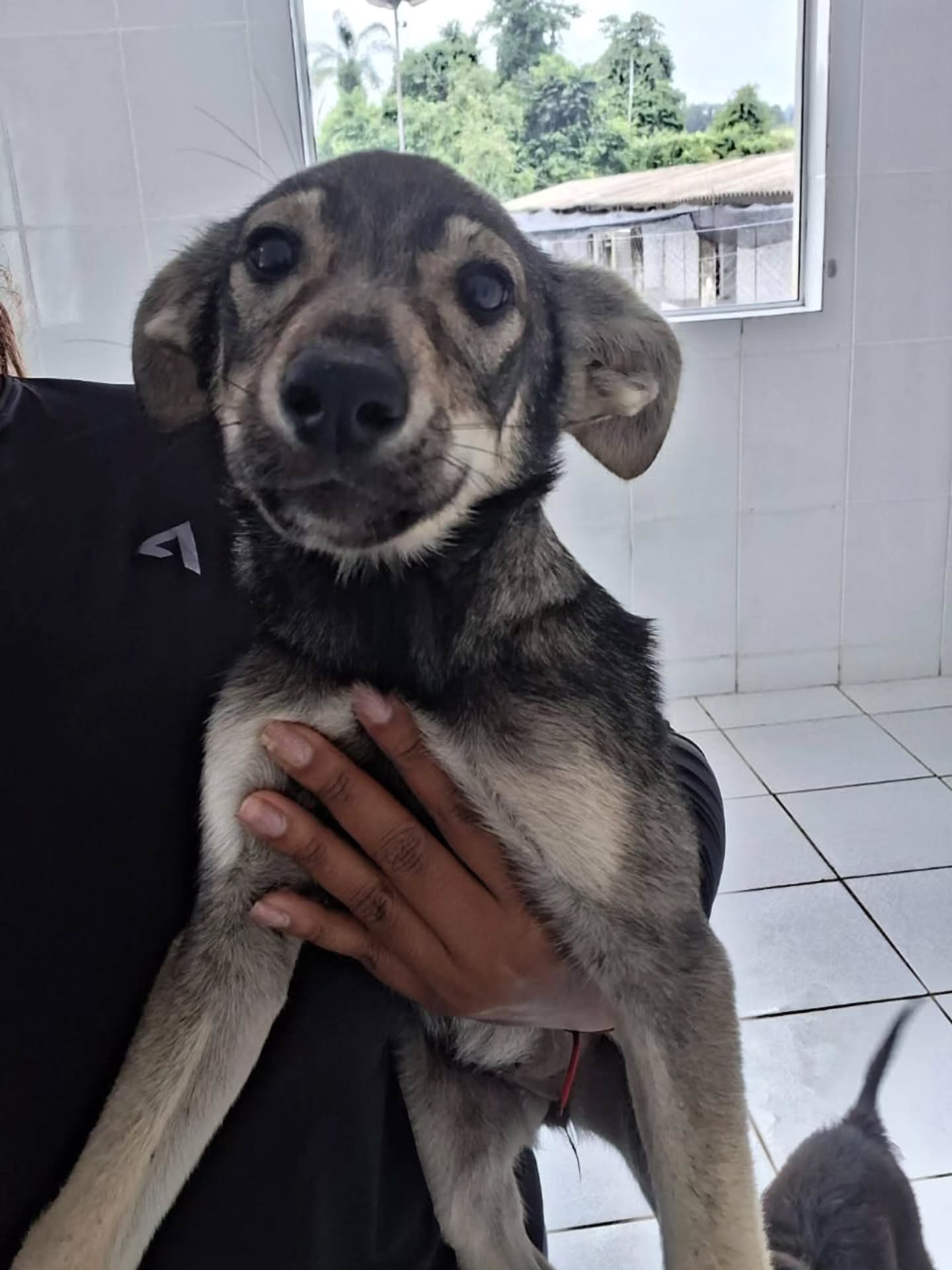 Postagem feita no Instagram da Prefeitura