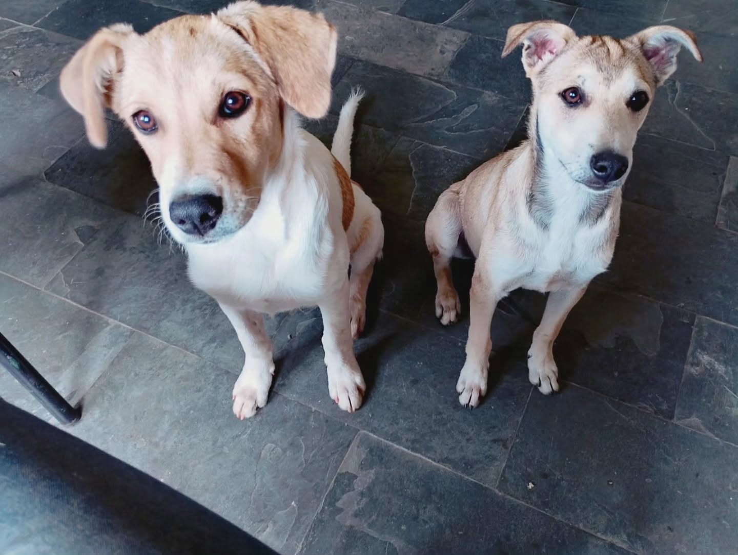 Postagem feita no Instagram da Prefeitura