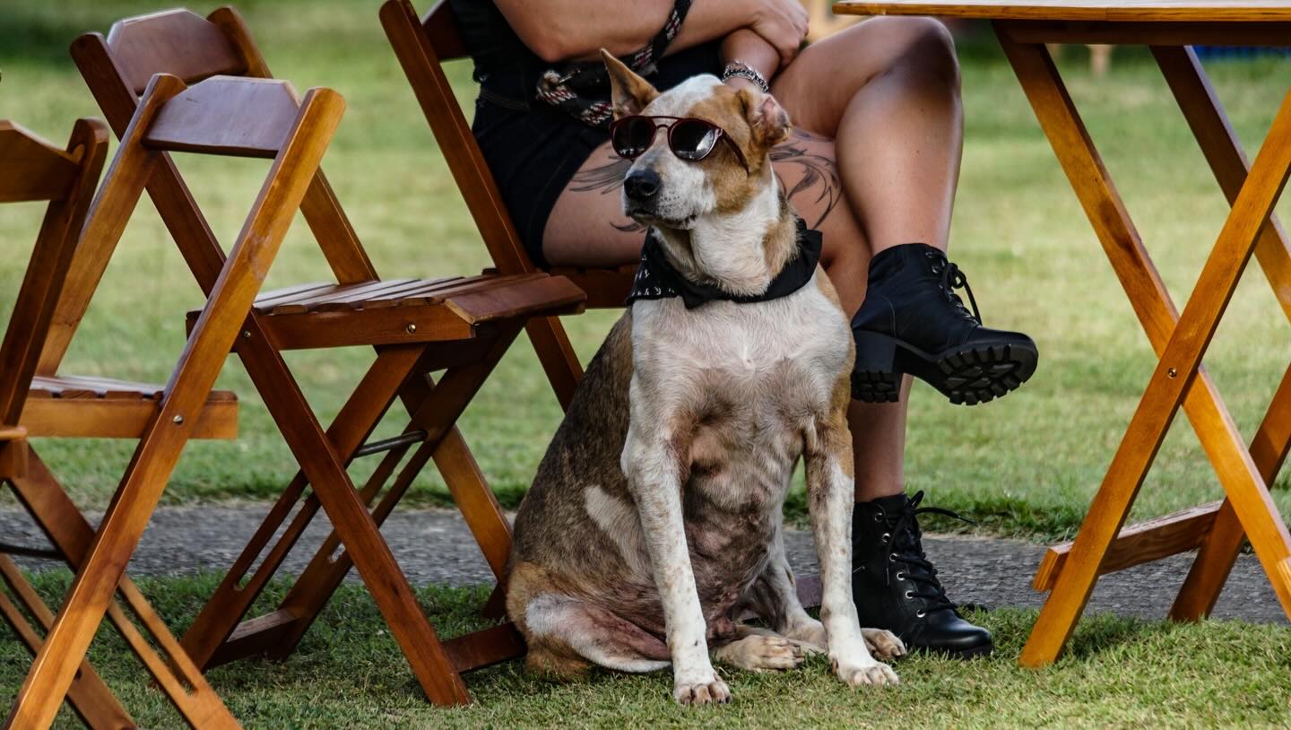 Postagem feita no Instagram da Prefeitura